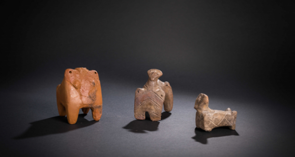 Kolekcja archeologiczna - Régészeti gyűjtemény